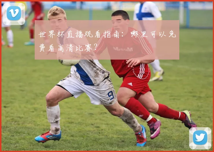 世界杯直播观看指南：哪里可以免费看高清比赛？