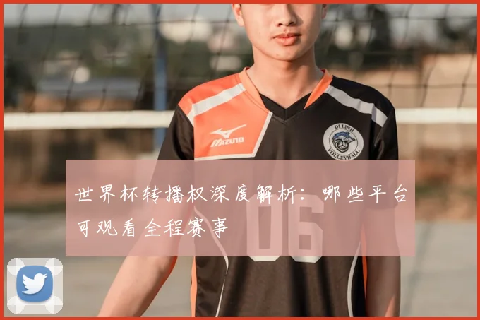 世界杯转播权深度解析：哪些平台可观看全程赛事
