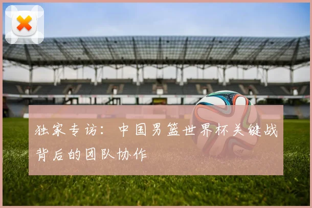 独家专访:中国男篮世界杯关键战背后的团队协作