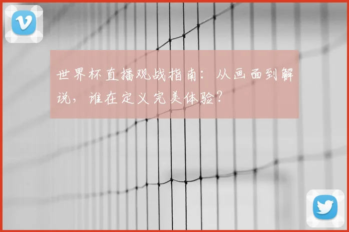 世界杯直播观战指南:从画面到解说,谁在定义完美体验?