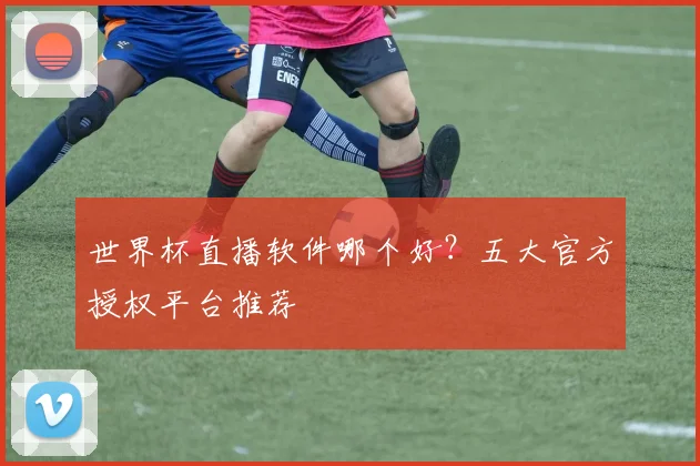 世界杯直播软件哪个好？五大官方授权平台推荐