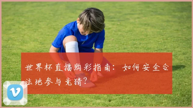 世界杯直播购彩指南：如何安全合法地参与竞猜？