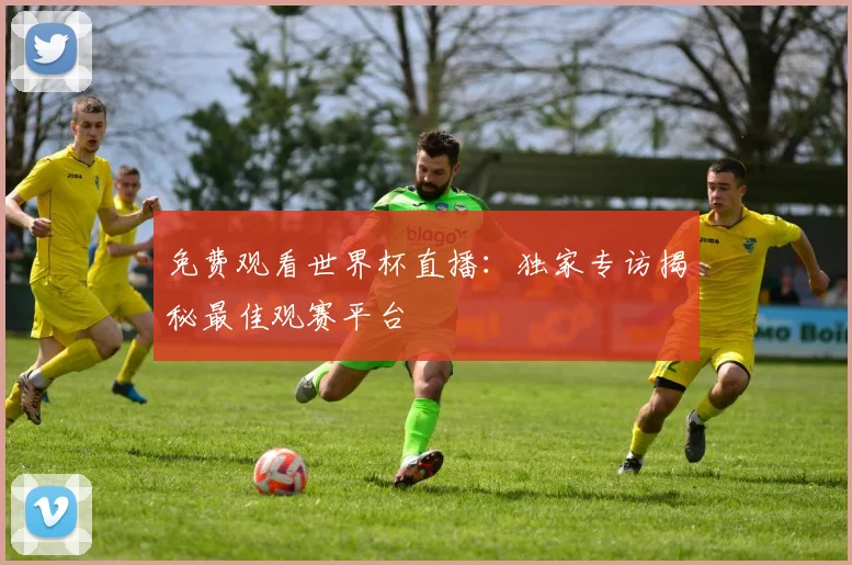 免费观看世界杯直播:独家专访揭秘最佳观赛平台